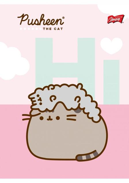 Zeszyt A5 32k kratka laminowany PUSHEEN p15 mix cena za 1szt