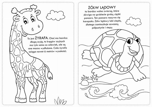 Kolorowanki z naklejkami - Wesołe ZOO