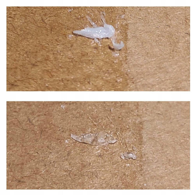 20x Klej Magic sztyft 20g  KAMABEN