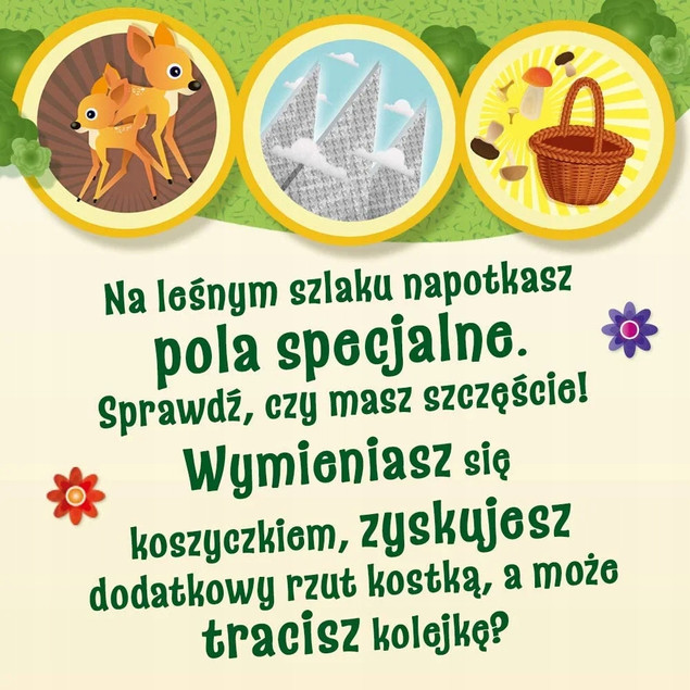 TREFL Grzybobranie w Zielonym Gaju 00988