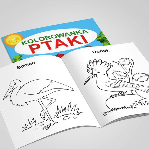 Kolorowanka Ptaki