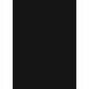 Blok techniczny Astrapap Black A4 170g 10 ark.