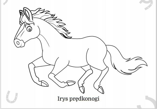 Maluszkowe malowanie. Koniki