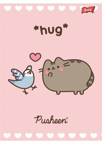 4 x PUSHEEN KOTEK ZESZYT A5/32 w kratkę dla dziewczynki 9735