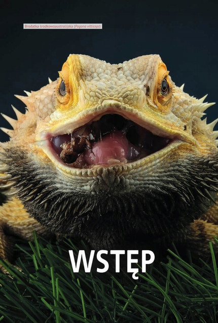 Atlas dla dzieci. Jaki to gad?