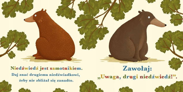 Książka dla najmłodszych Rok w lesie Niedźwiedź Nasza Księgarnia