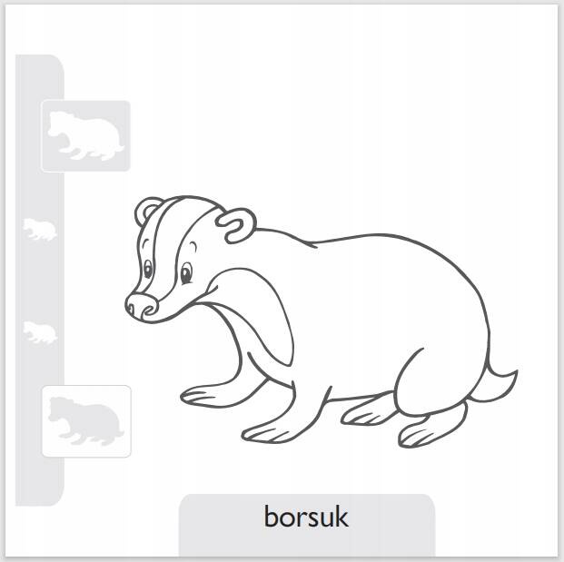 Pokoloruj Zwierzaki Z Lasu Kolorowanka Z Naklejkami 2+ Skrzat