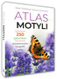 Atlas motyli