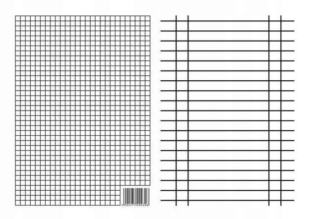 Liniuszek A5 Dwustronny KRATKA LINIA Pomoc Szkolna Interdruk 09306