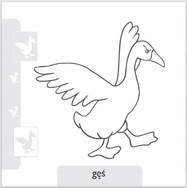 Pokoloruj zwierzaki z podwórka