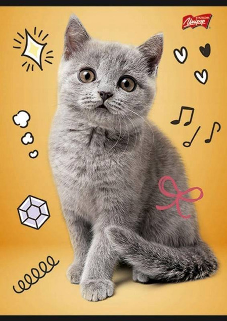 ZESZYT DO SŁÓWEK A6 UNIPAP 16 KARTEK NOTES NOTESIK