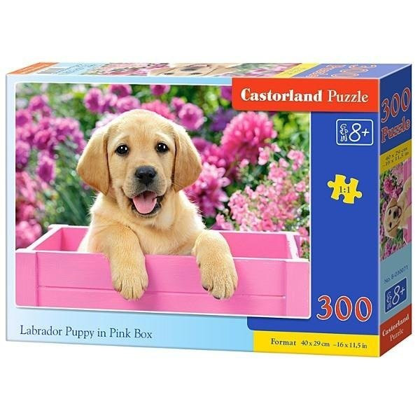 Puzzle 300 Lablador Puppy In Pink Box Castorland 