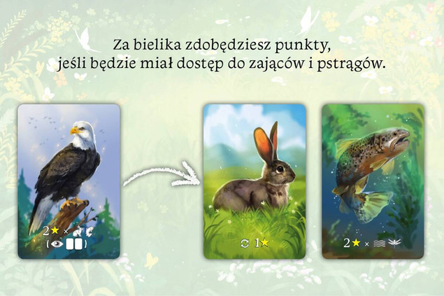 Gra rodzinna Ekosystem Nasza Księgarnia