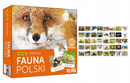 Memory FAUNA POLSKI Gra Pamięciowa Dla Dzieci Pamięć 5+ Adamigo 07738