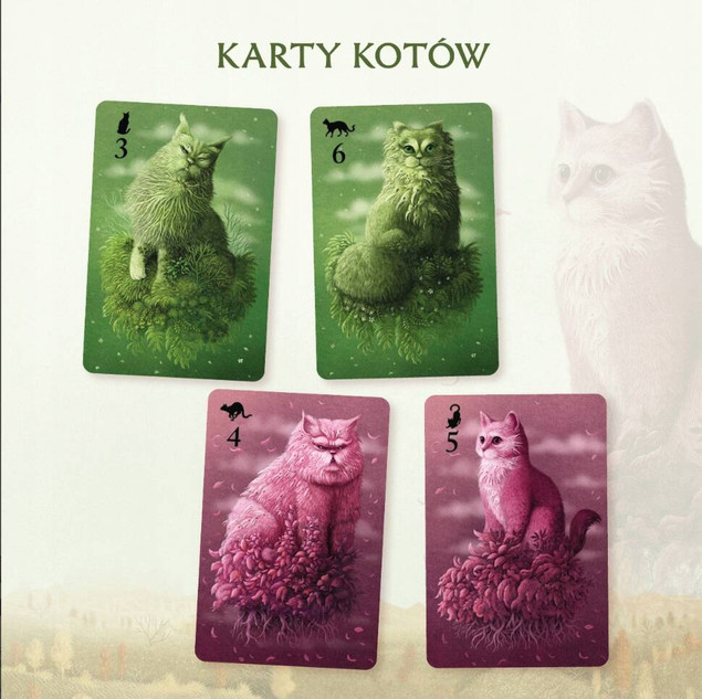 Koty | Nasza Księgarnia