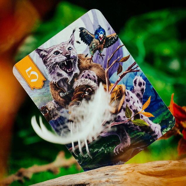 Gra Spór o Bór MODUKU