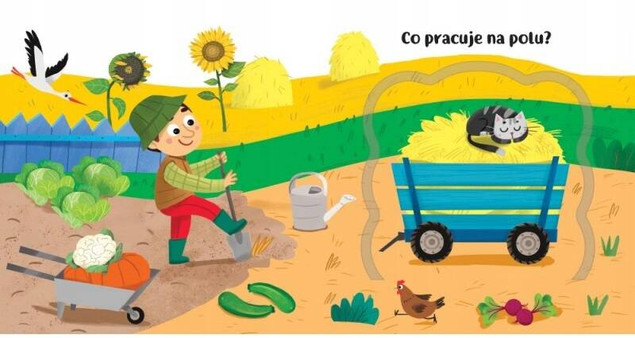 Co kryją okienka? Pojazdy