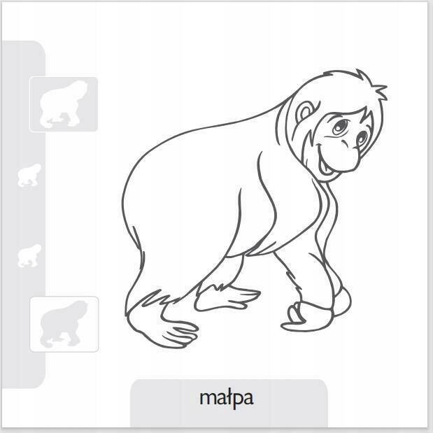 Pokoloruj zwierzaki w ZOO