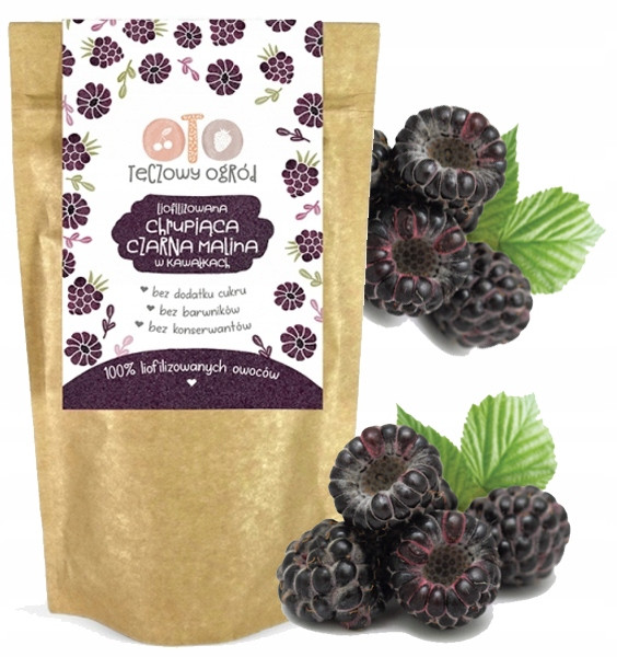 OtoLandia Tęczowy ogród Owoce liofilizowane w kawałkach Malina czarna 20 g
