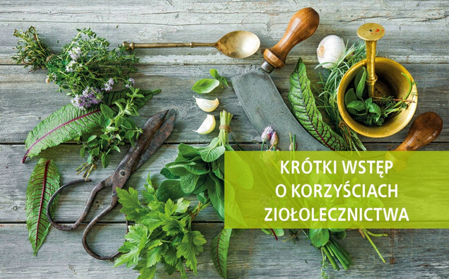Zioła. Naturalne lekarstwa z pól i ogrodów