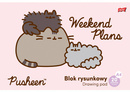 Blok Rysunkowy PUSHEEN A4 20 Kartek 80 g/m2 St. Majewski