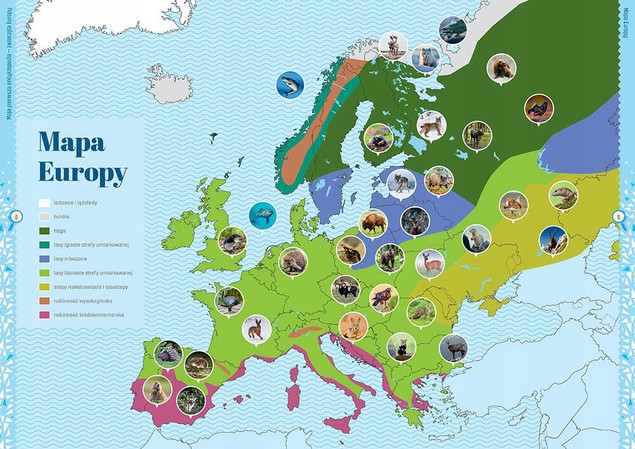 Moja Pierwsza Encyklopedia ZWIERZĘTA Gatunki Zwierząt Kontynenty Greg (TW)