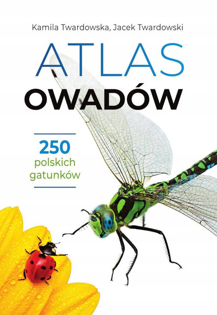Atlas motyli