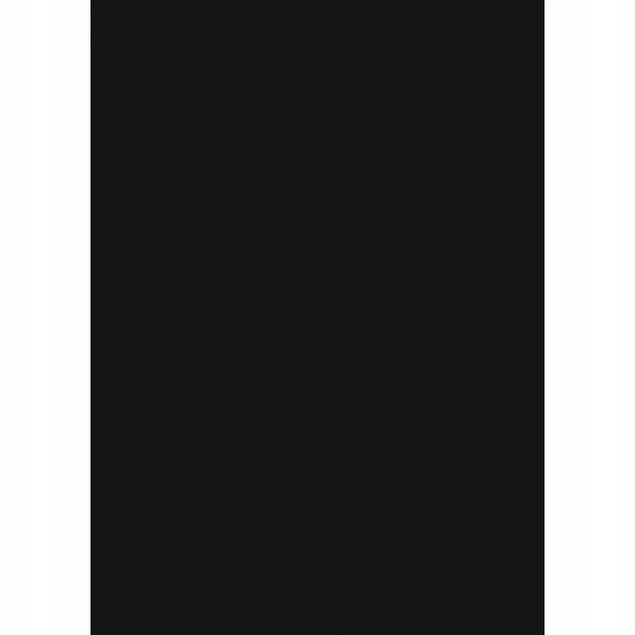 Blok techniczny Astrapap Black A4 170g 10 ark.