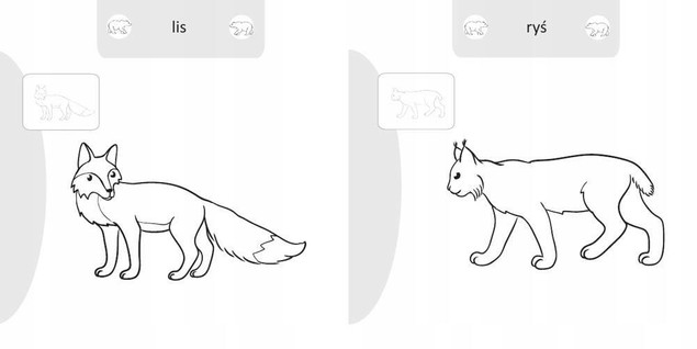 Malowanie-doklejanie. Zwierzęta leśne