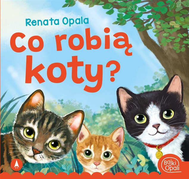 Co Robią Koty? Renata Opala Bajki i Wierszyki 3+ Skrzat