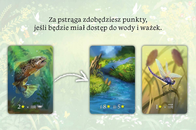 Ekosystem Gra Planszowa Przygodowa Tworzenie Krainy 8+ Nasza Księgarnia