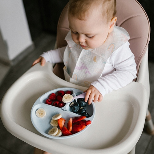 BABYONO Silikonowy Talerzyk z Przyssawką NIEBIESKI Dla Dzieci 1482/01