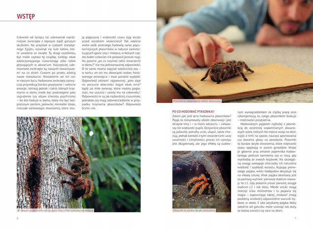 Atlas pająków. Ptaszniki – 100 gatunków hodowlanych | SBM