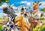 Puzzle 260 African Selfie CASTOR