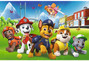 Trefl Puzzle 60 Psi Patrol na polanie 17375