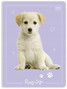 ZESZYT A5 16K KRATKA KOLEKCJA PUPPY INTERDRUK