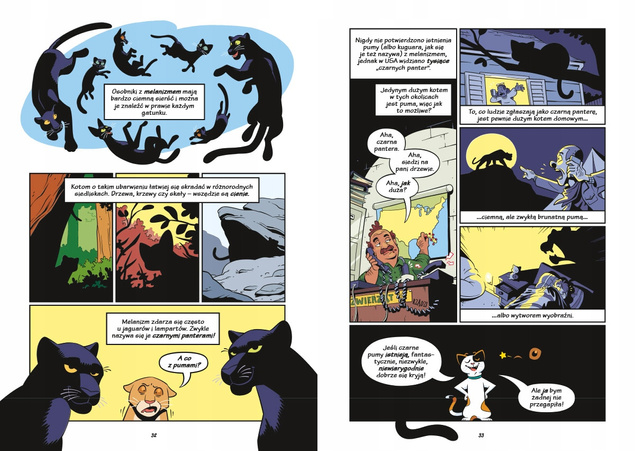 Koty Natura i Wychowanie Naukomiks Andy Hirsch 6+ Nasza Księgarnia