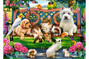 Puzzle 1000 Pets In The Park Castorland 