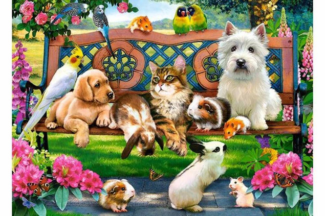 Puzzle 1000 Pets In The Park Castorland 