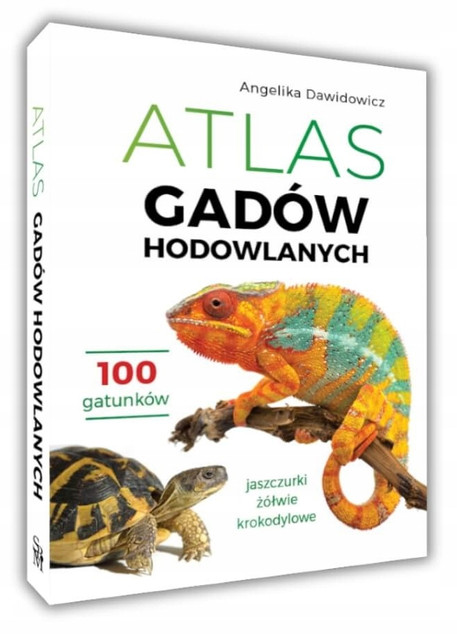 GADY HODOWLANE