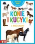 WSZYSTKO WIEM KONIE