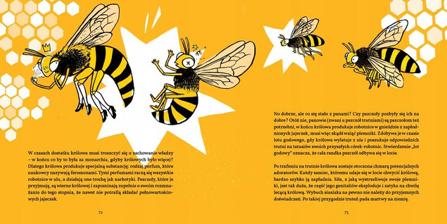 Amory Zaloty i Podboje W Świecie Przyrody Szymon Drobniak 8+ BabaRyba