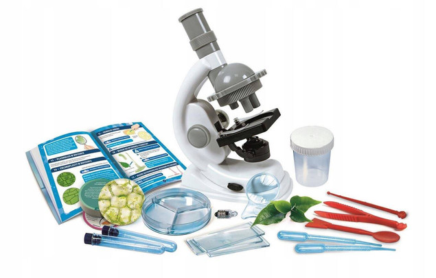 Naukowa zabawa. Doświadczenia z mikroskopem