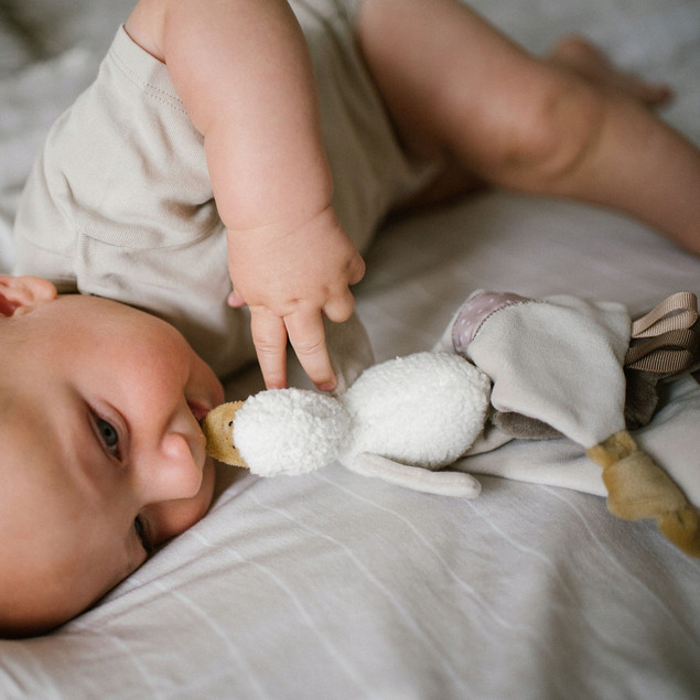 Przytulanka Kocyk GĄSKA Gęś 0M+ BabyOno 1556