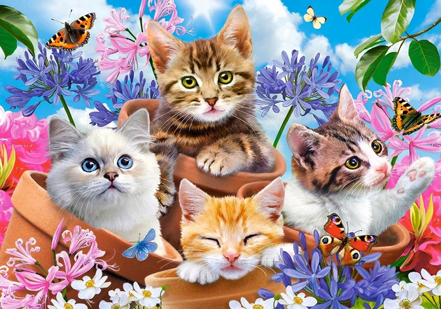 Puzzle 500 Kittens with Flowers CASTOR