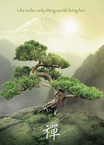 Puzzle 1000 Drzewo Zen Ravensburger 