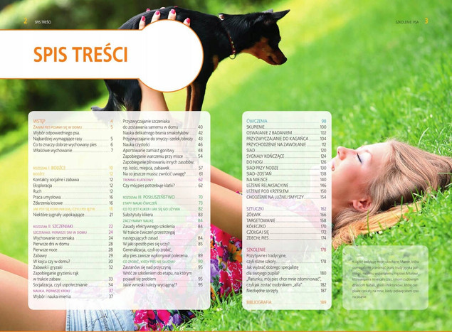 Szkolenie psa. Jak wychować idealnego pupila