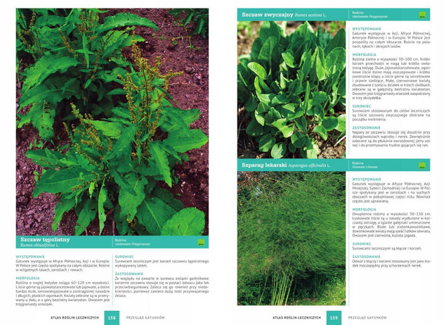 Atlas roślin leczniczych