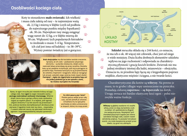 Mała encyklopedia. Koty