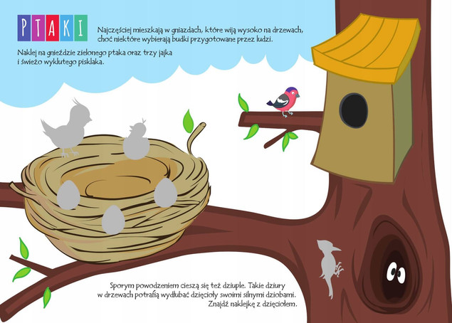 Akademia 2-latka. Zwierzęta